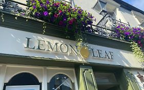 The Lemon Leaf Cafe Bar And Townhouse